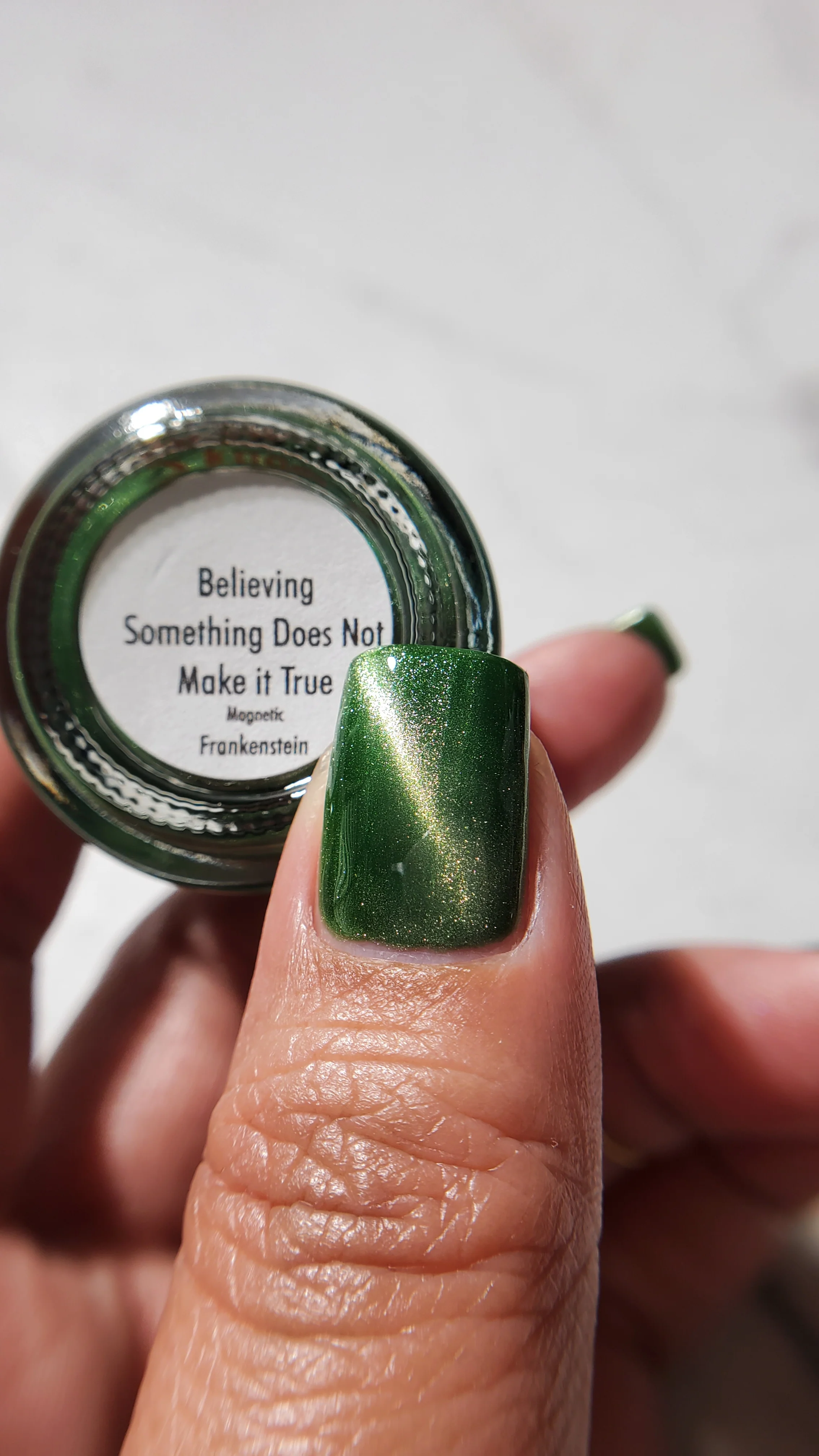 Believing Something does not Make it True - Image 40