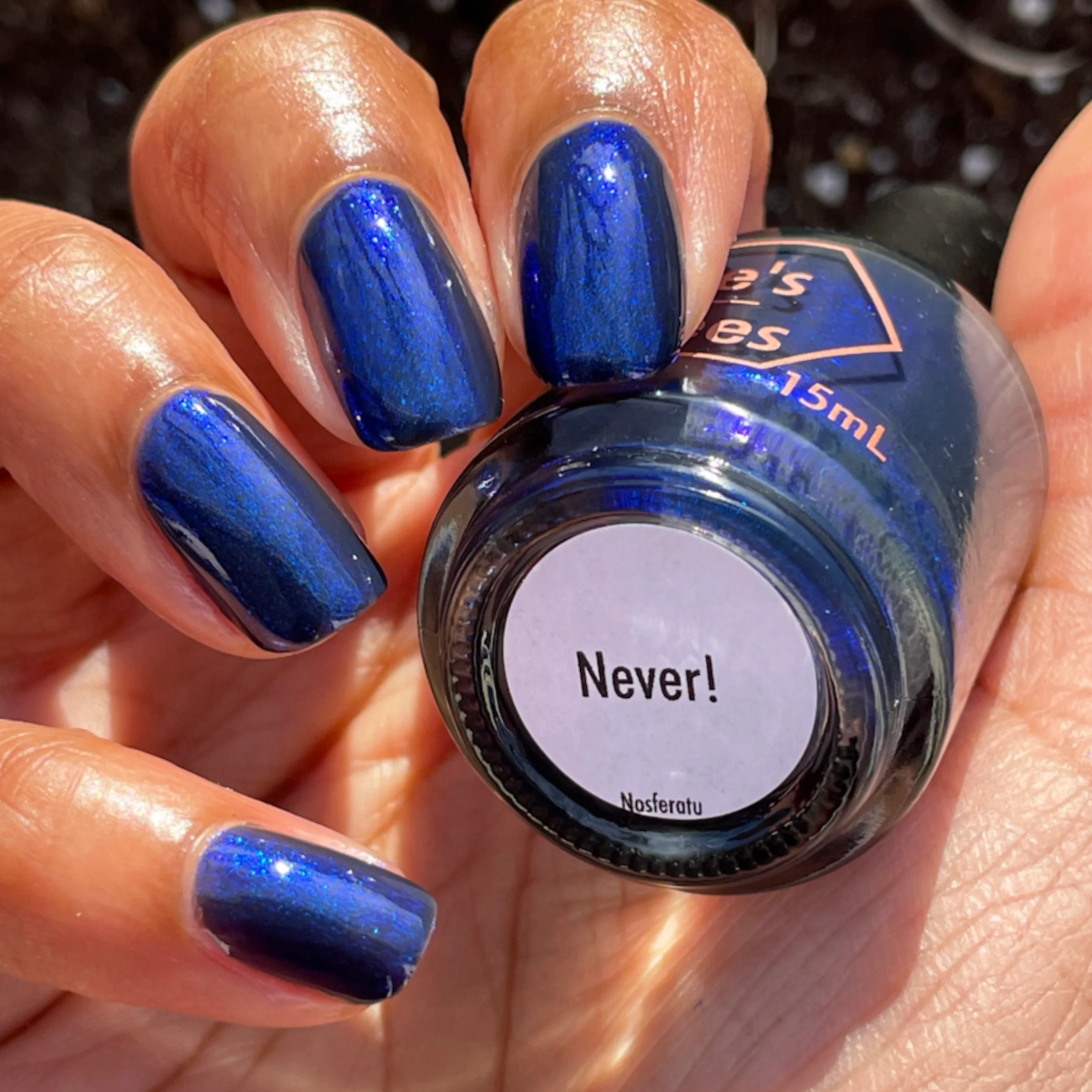Never! - Image 24