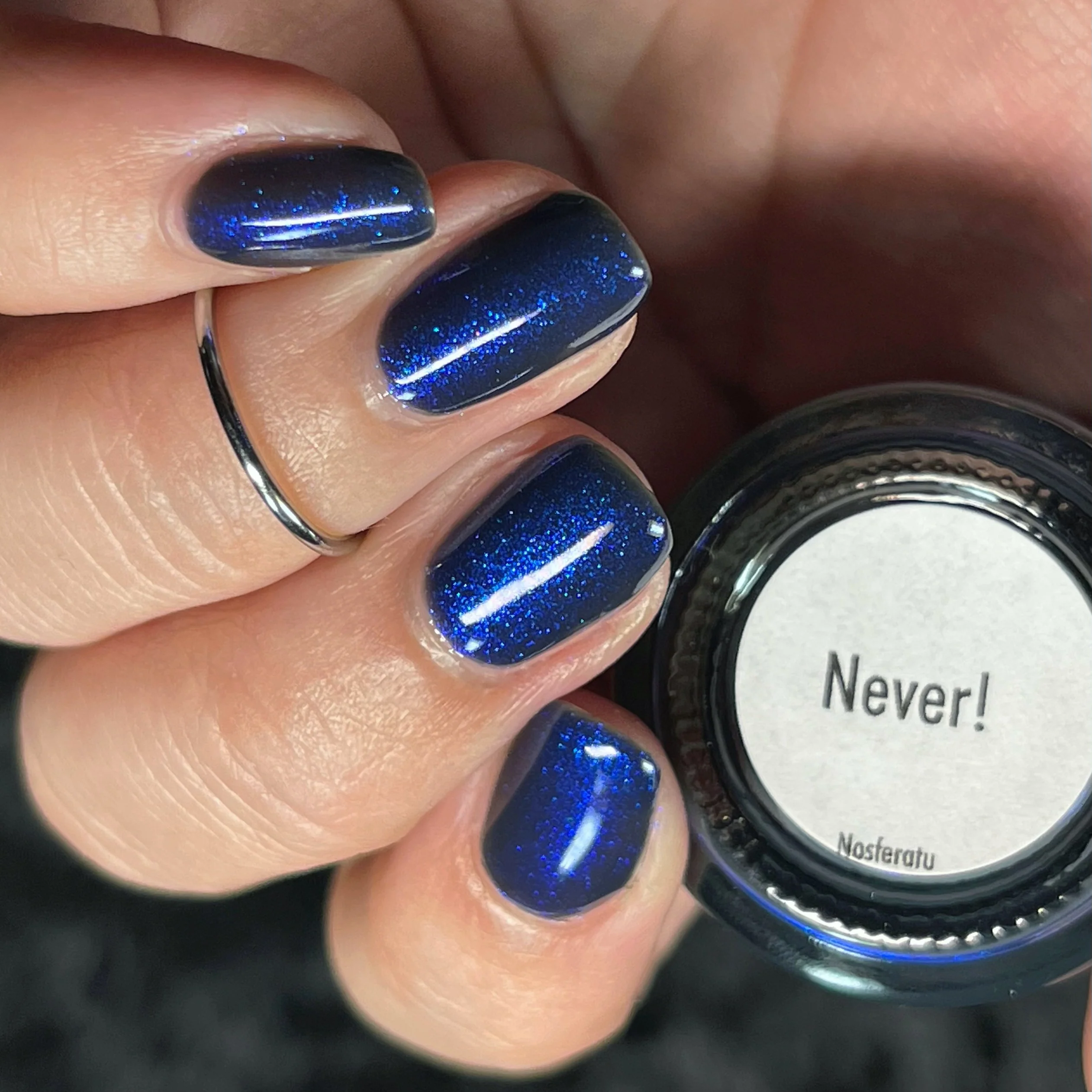 Never! - Image 33