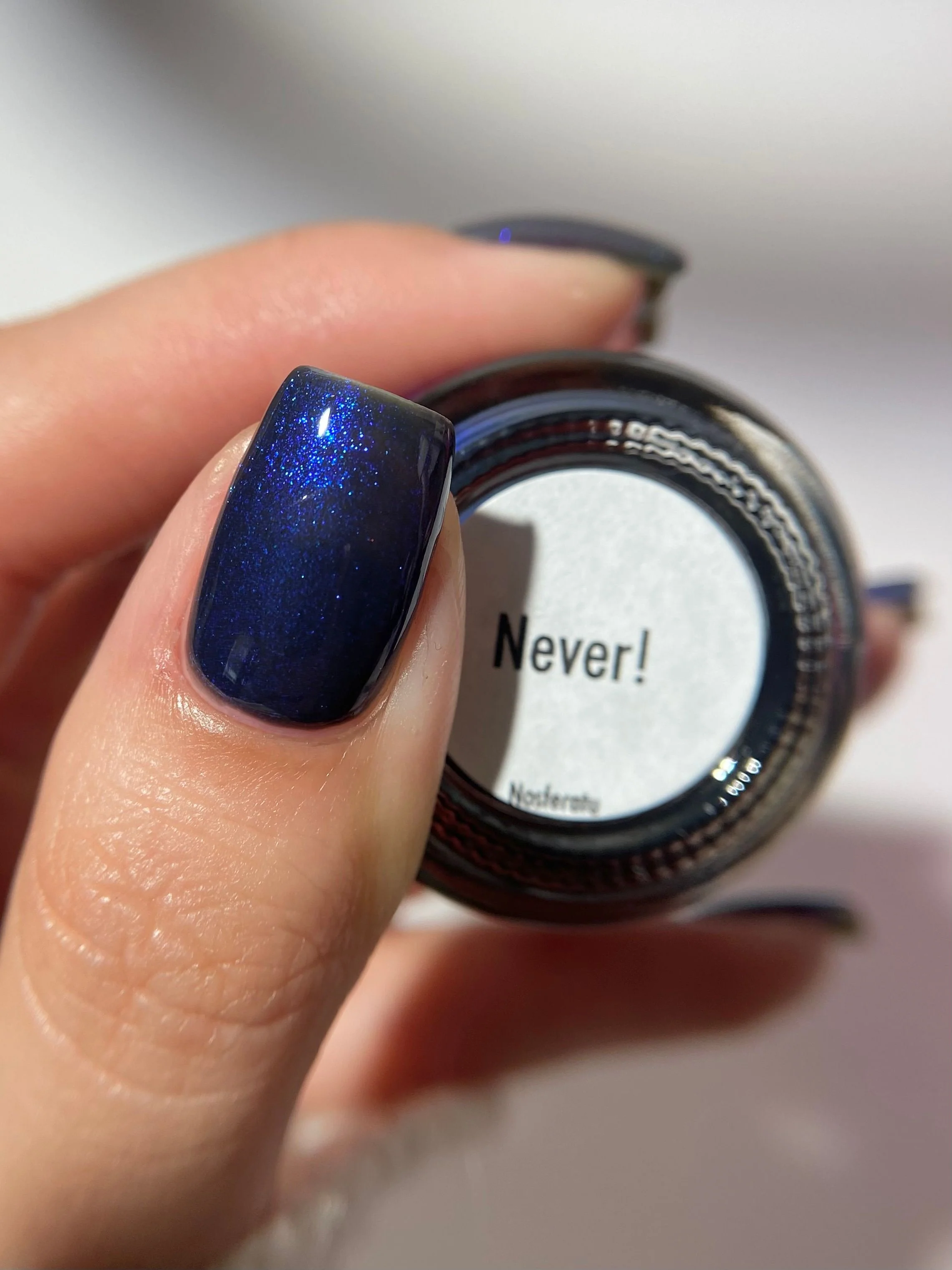 Never! - Image 36