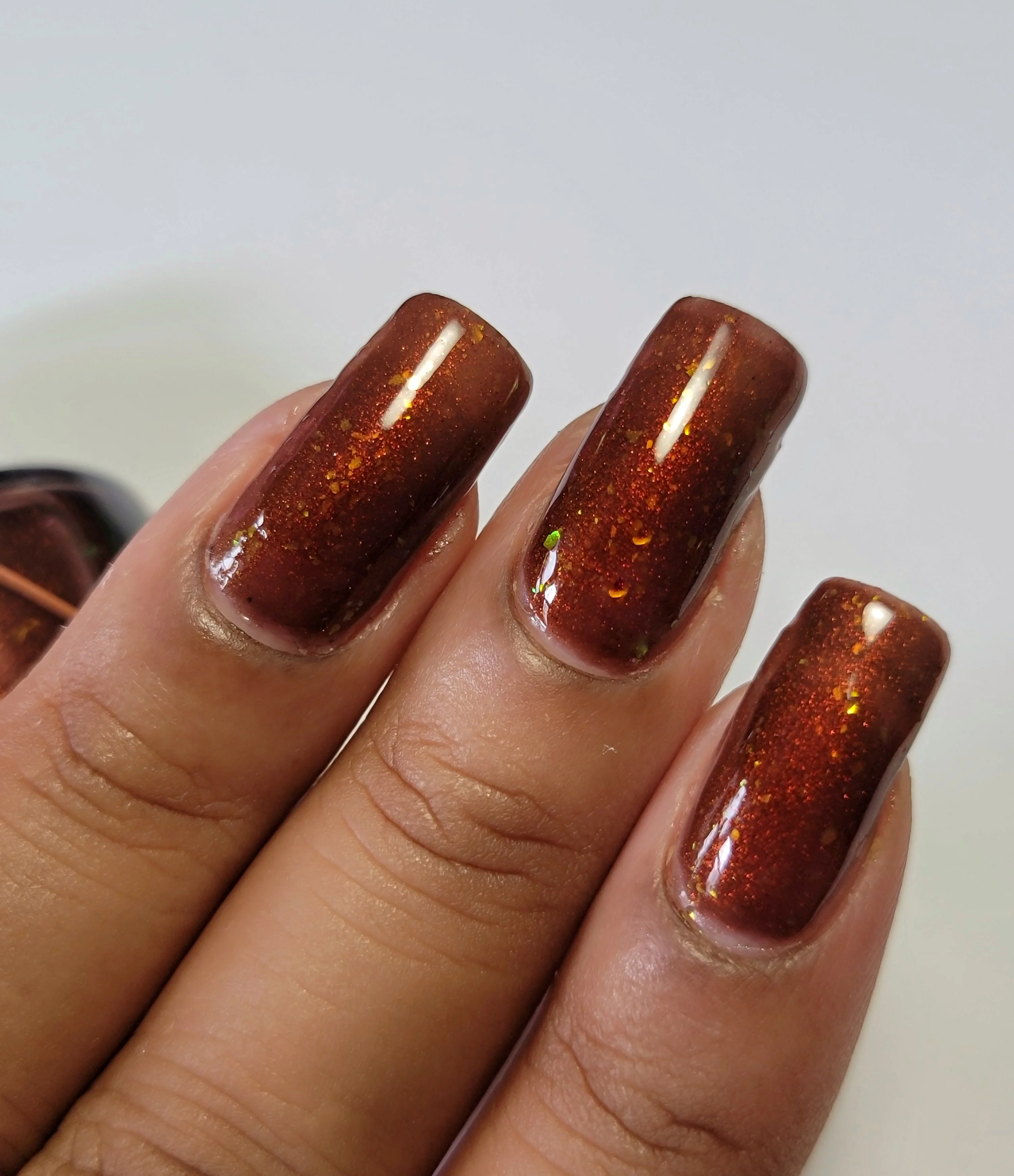 The Scarlet Fox - Image 17